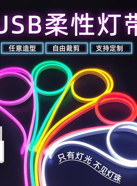 led充电式灯带5v低压超亮电池款免插电usb柔性霓虹矽胶氛围软灯条