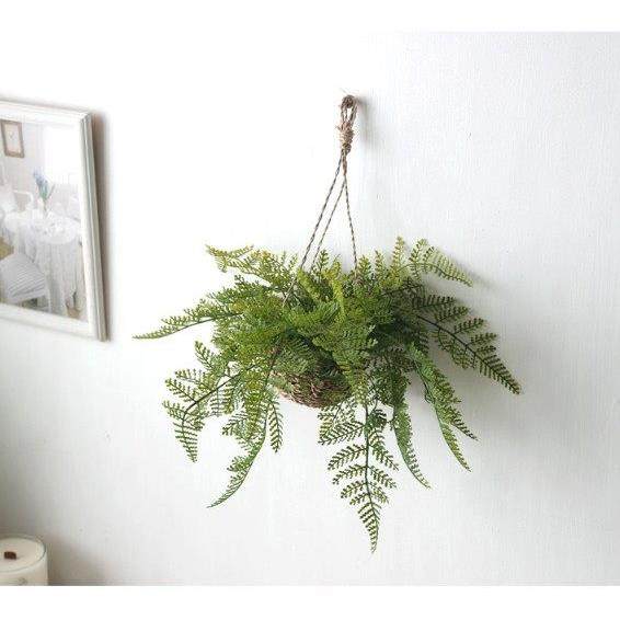 北欧ins高档蕨类仿真植物墙壁装饰藤条绿萝挂花吊篮挂藤家居挂饰,家居饰品,仿真植物盆景,淘宝优惠券,粉丝福利购,淘宝优惠卷