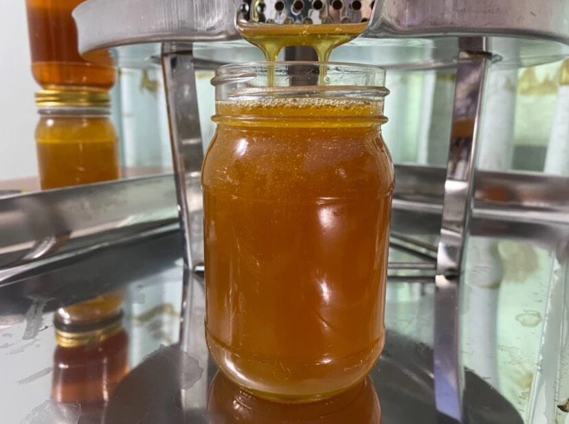 乡野欢子 古法压榨土蜂蜜 一年一取巢蜜蜜汁 有花粉不清澈 500