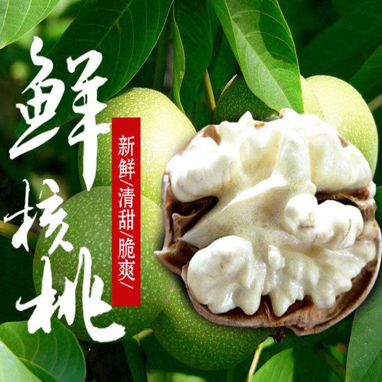 2026去青皮新鲜湿核桃 无添纸皮/薄皮核桃