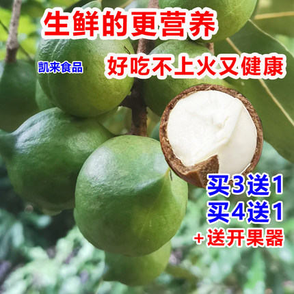 【坏1赔3】云南新鲜夏威夷果原味生果澳洲坚果干果无添加孕妇可食