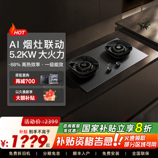 i10308G定时煤气灶家用双灶台天然气官方旗舰款 Vatti 华帝