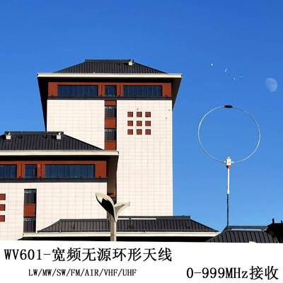 德仕博DESHIBO宽频无源环形天线WV-600LW/SW/MW/FM/VHF/UHF/AIR