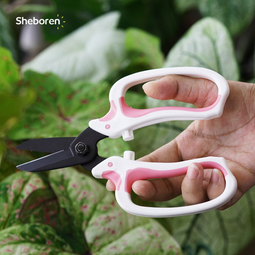 花艺剪刀盆景果树专用园林工具