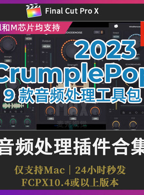 FCPX自动智能消除回声风声平衡音量音频降噪插件CrumplePop 2023