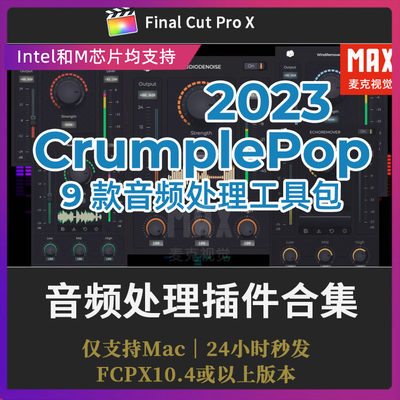 FCPX自动智能消除回声风声平衡音量音频降噪插件CrumplePop 2023