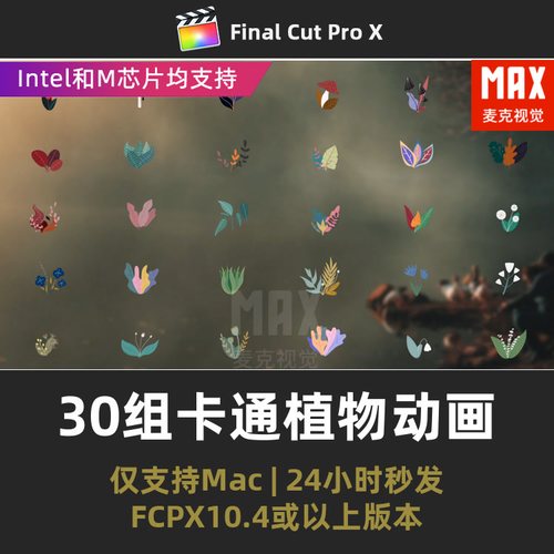 fcpx插件汉化30组手绘动态插画叠加液态流体卡通花朵动画fcp插件