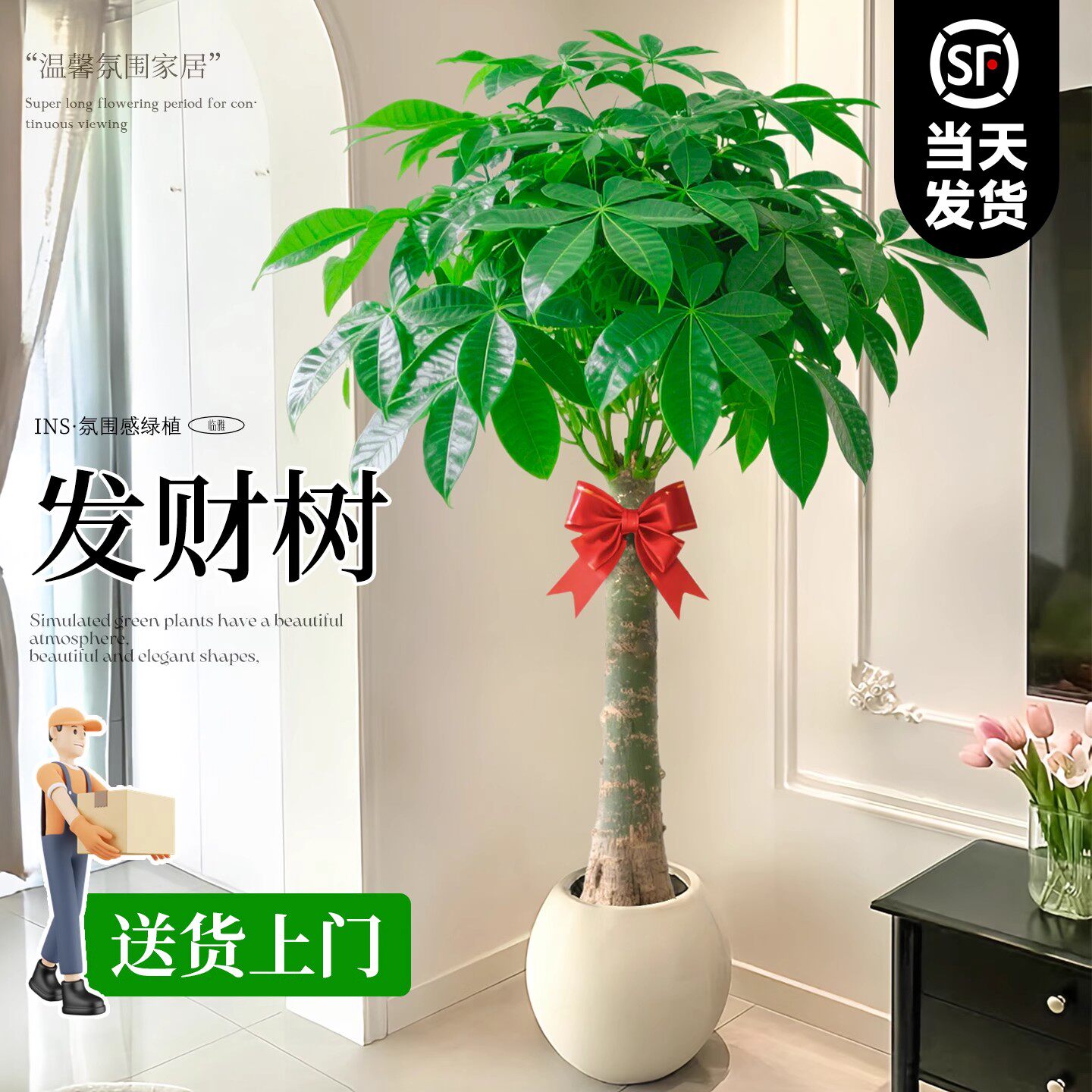 发财树客厅大盆栽办公室大型大棵绿植物适合室内摆放的树落地大号