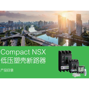 施耐德Schneider塑壳断路器NSX250N IC65A TMD C25漏电保护器 EZD