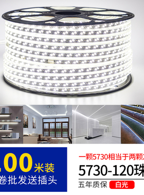 led灯带100米220V户外工程照明户外防水养殖塔吊工地地下室白色光