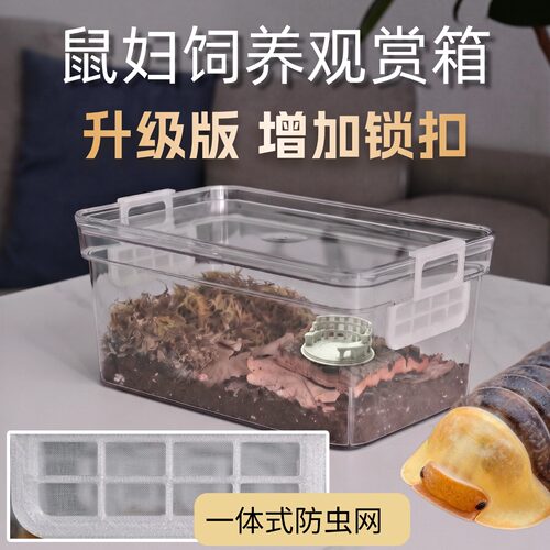 高透高颜值鼠妇饲养盒一套配齐