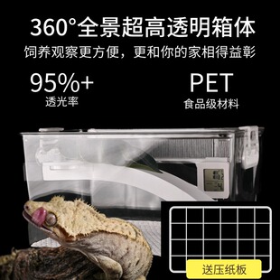 睫角守宫饲养箱睫角饲养箱睫角造景睫角攀爬架睫角饲养盒盖勾亚
