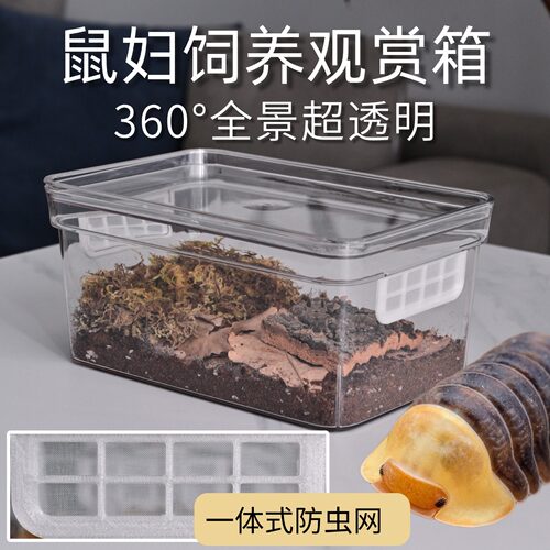 高透高颜值鼠妇饲养盒一套配齐