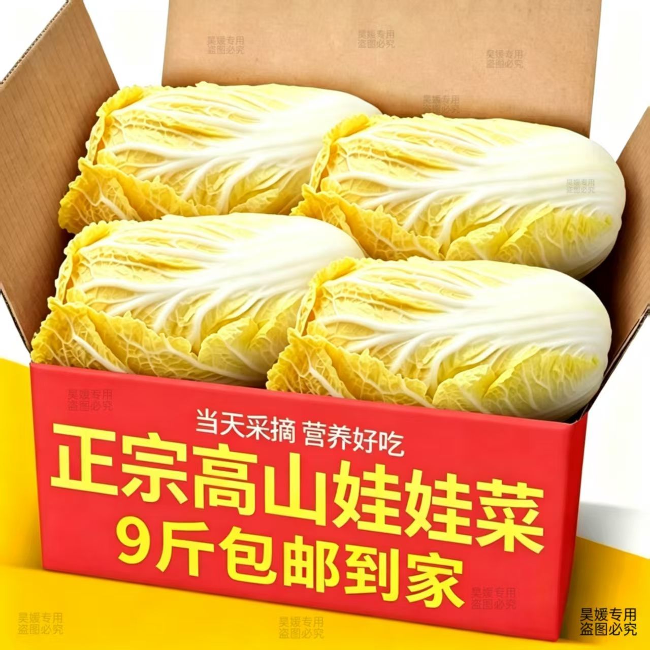 云南高原新鲜娃娃菜正宗娃娃菜嫩叶菜类
