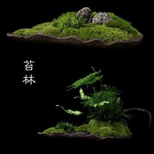 植觉 苔色苔山苔林 苔藓盆景微景观室内茶室桌面绿植禅意植物迷你