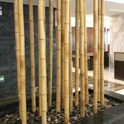 竹子装饰庭院屏风隔断挡墙栅栏围栏篱笆搭架竹杆防腐装修吊顶竹竿