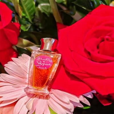 艾尔莎·夏帕瑞丽Schiaparelli香水 震惊夏普冲击你正品试香小样