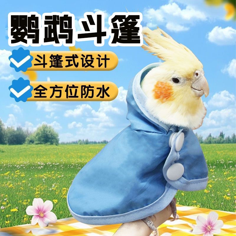 鹦鹉斗篷雨衣外穿宠物用品鸟禽外