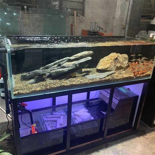 新款水草溪流缸水族箱底滤客厅超白玻璃兰寿背包侧溢流生态鱼缸不