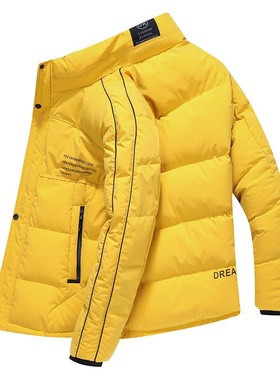 90%白鸭绒短款青年立领时尚简约秋冬羽绒服 保暖防寒外套xl80