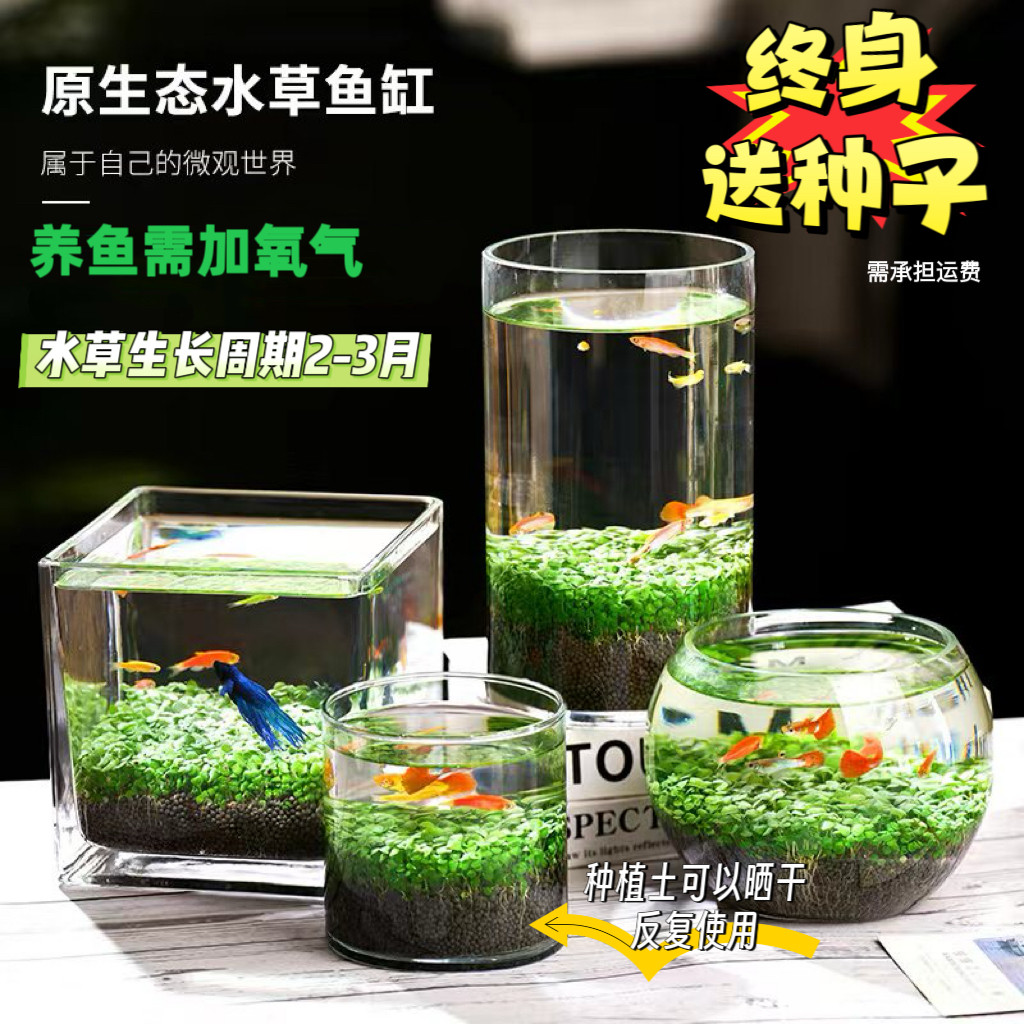 玻璃透明鱼缸水草种子微景观居家轻奢休闲桌面水草泥创意生态缸
