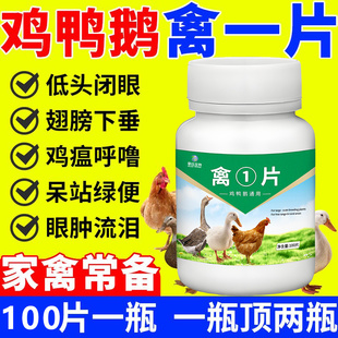 正品禽一片鸡鸭鹅感冒拉稀禽类急救片鸡药大全特效消炎呼噜治百病