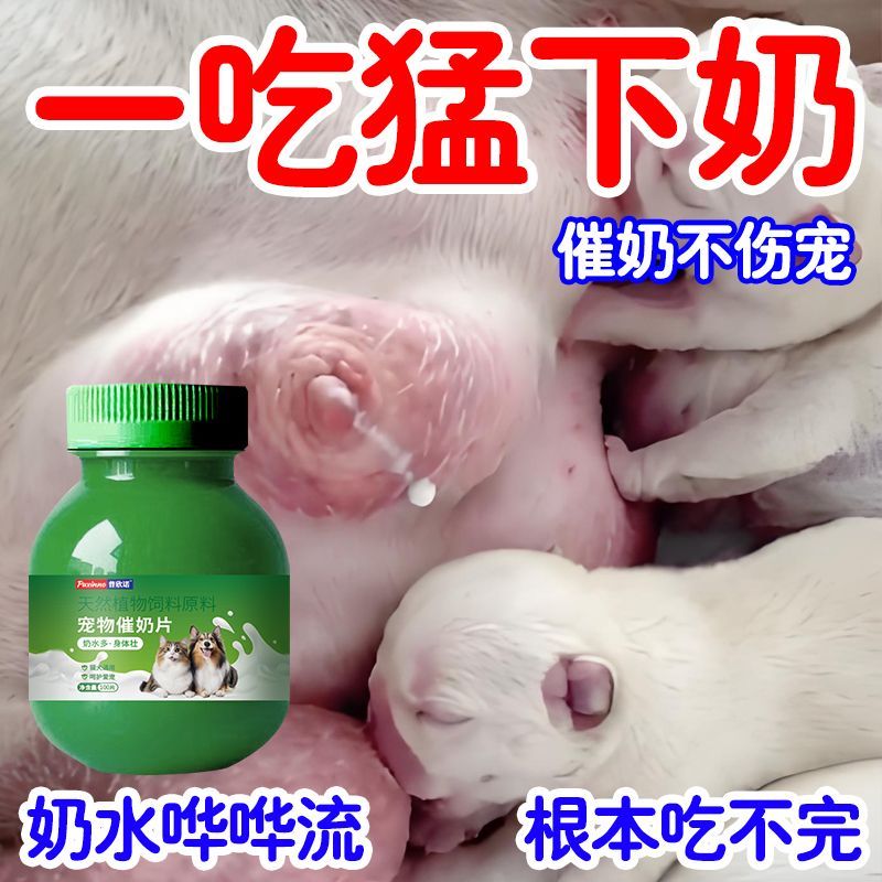 宠物催奶片猫狗下乳猫犬