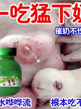 宠物催奶片猫狗下奶催奶片催乳猫犬开奶催奶狗犬用催奶高钙营养品