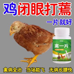 禽一片禽类急救包鸡鸭鹅急救片呼吸道感冒呼噜养殖场养鸡专用全治