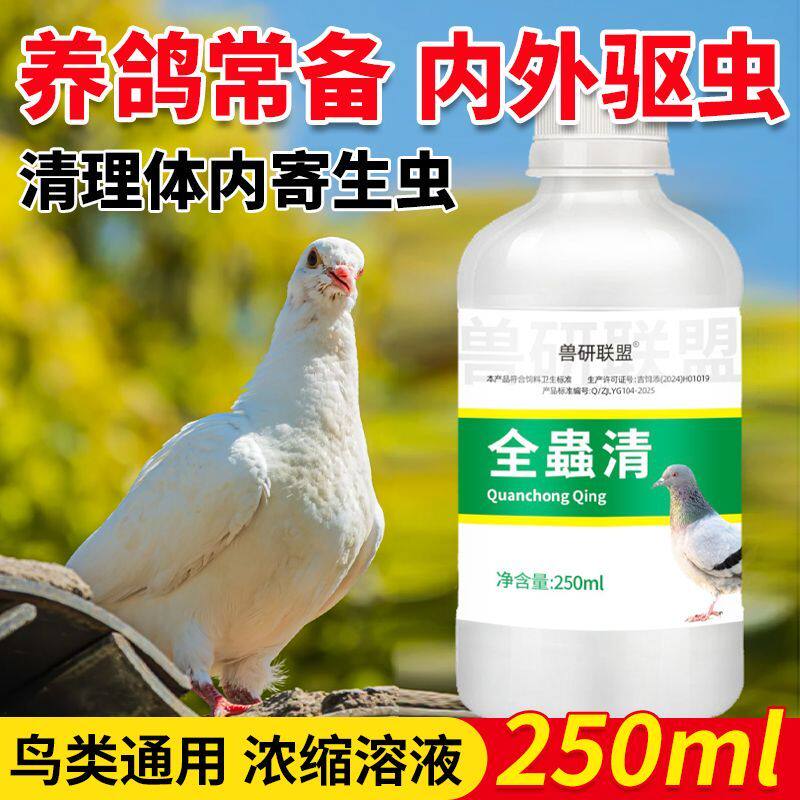 鸽子体内外驱虫一体全虫清鸽子信鸽赛鸽用鹦鹉八哥鸟类用打虫正品