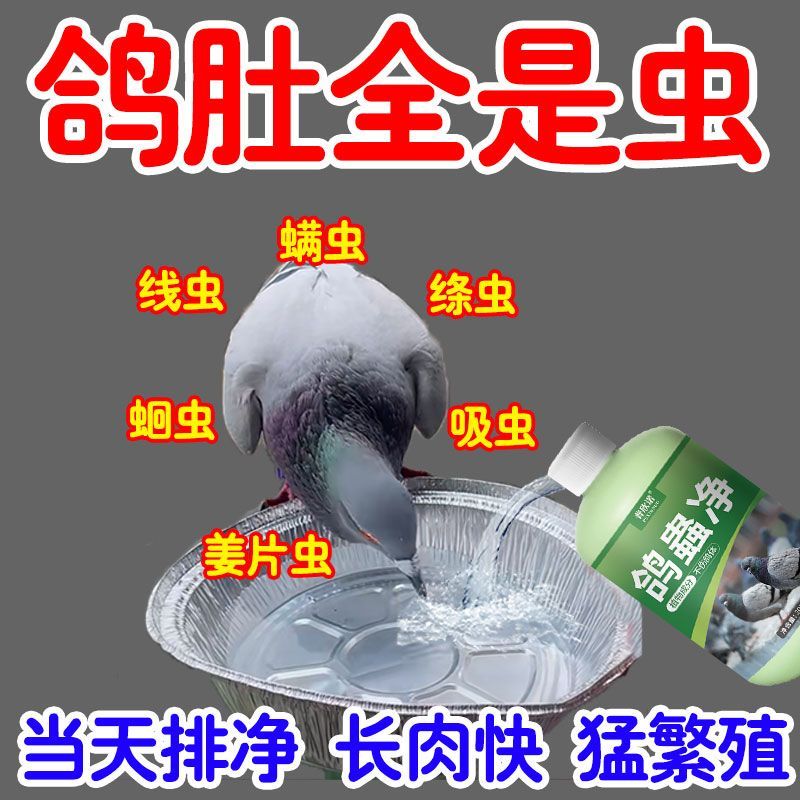鸽子驱虫药鹦鹉体内画眉