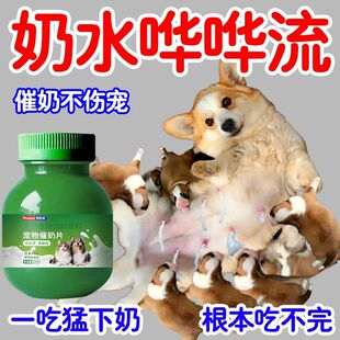 宠物催奶片猫狗下奶催奶片催乳猫犬开奶催奶狗犬用催奶高钙营养品