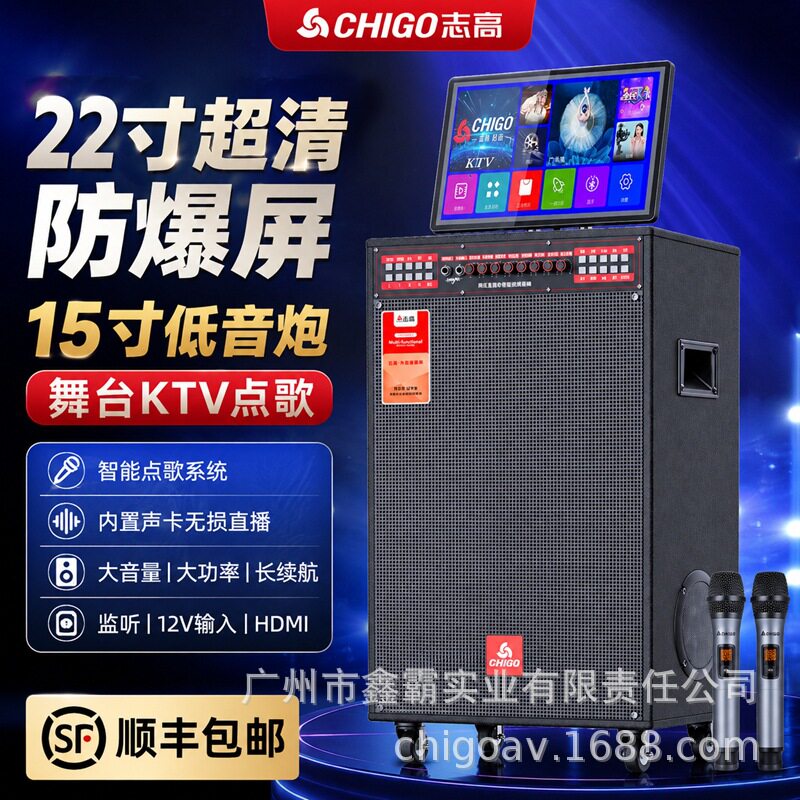 志高KTV户外大音量无线蓝牙K歌音箱多功能广场舞双15寸低音炮音响