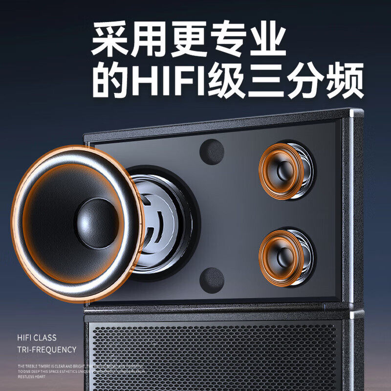 先科W10-1 专业无源音响会议室酒店 8英寸 家庭ktv 客厅背景音乐