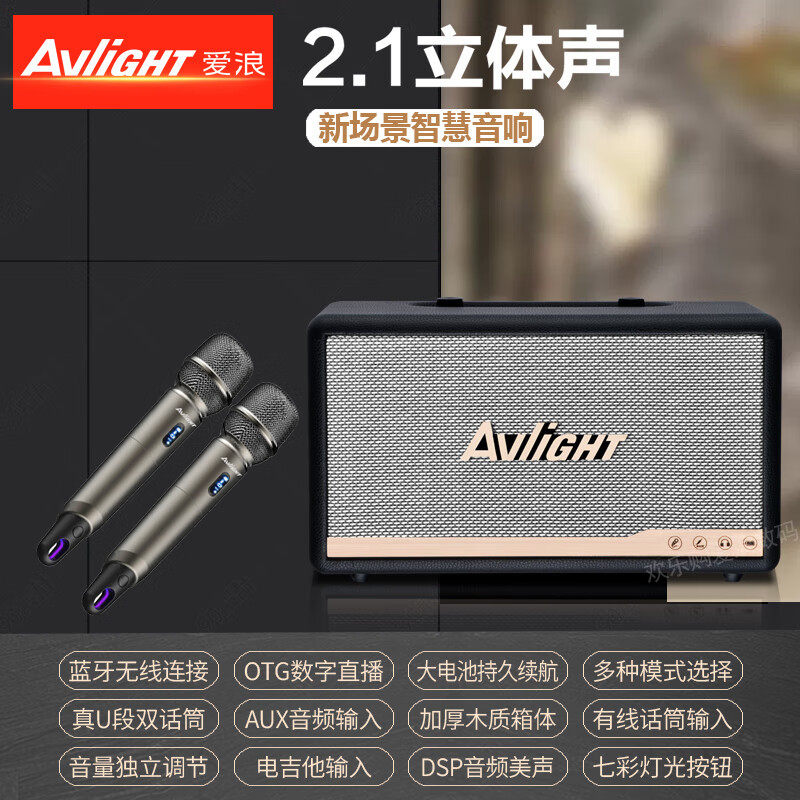 爱浪无线蓝牙音箱家用重低音音响户外便携式K歌音响大功率 A06两