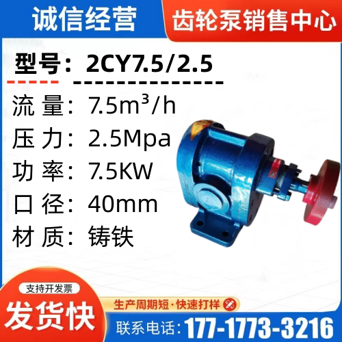 新款2cy2.1/35/4高压力齿