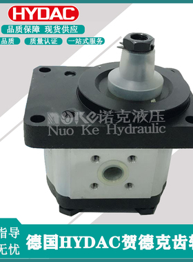 新款贺德克齿轮泵PGE101-160/200/250/315/500/740-RBQ1-N-37包邮