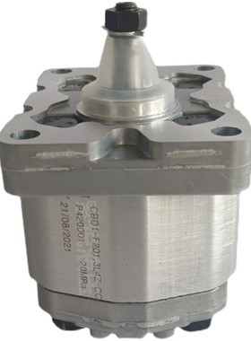 新款齿轮泵CBD1-F201.1/F201.3/F201.6/F202.7/F203.2/F204.2包邮