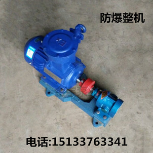 输油泵 2CY 2.5 包邮 抽油泵 新款 齿轮油泵 增压燃油泵 煤焦油泵