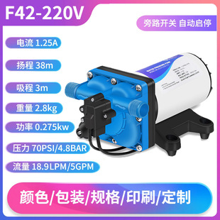 新款 110V高效自吸泵高扬程18升大流量液体灌装 输送增压泵房车 包邮