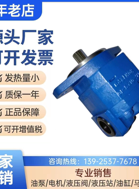 新款天津泊姆克双联齿轮油泵P124B182XDZA05-54PBZA02-1煤矿包邮