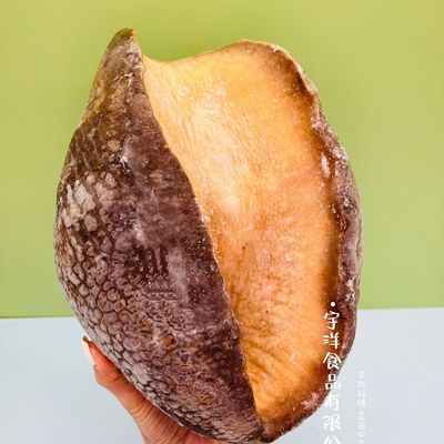 顺丰俄罗斯风味深海大鲍无冰大鲍罗刺身肉质鲜嫩塞内加尔大鲍螺