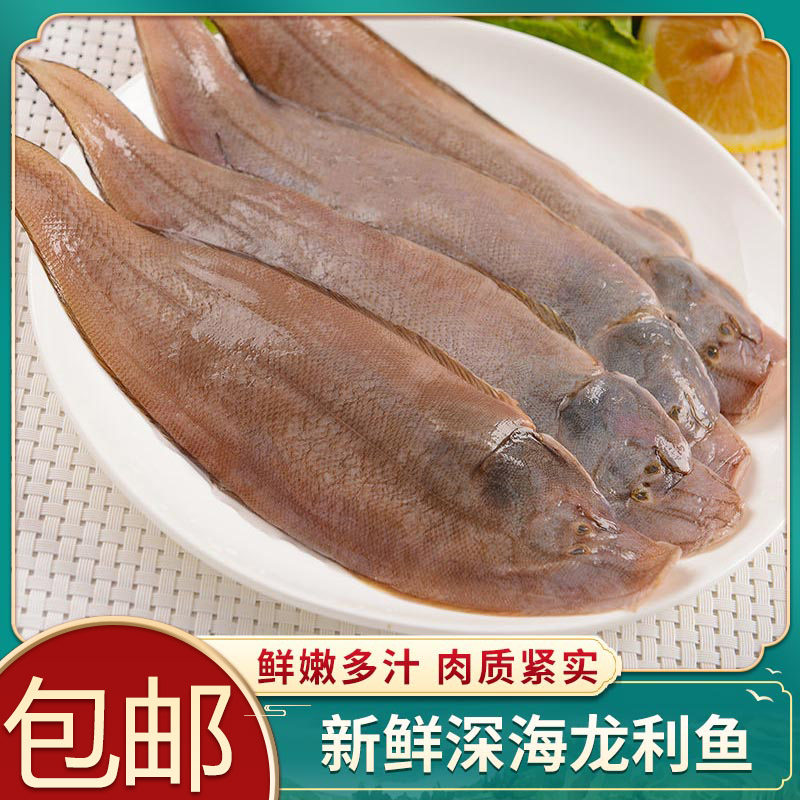 龙利鱼深海舌头鱼塔米鱼新鲜冷冻海鲜海鱼比目鱼2斤