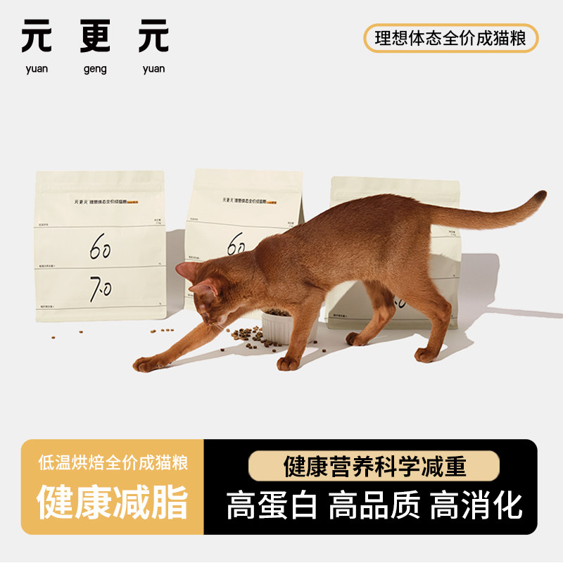 ���������ء�Ԫ��Ԫ��֬è�����º決ȫ�۳�è����֬�ߵ��׸���ά