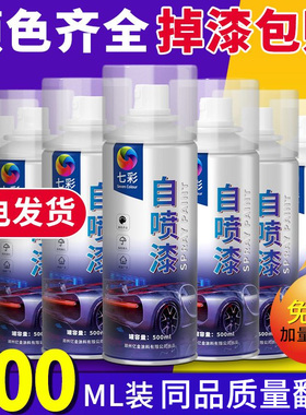 自动喷漆手摇喷漆金属铁门汽车专用防锈颜色大全补漆黑白色油漆罐