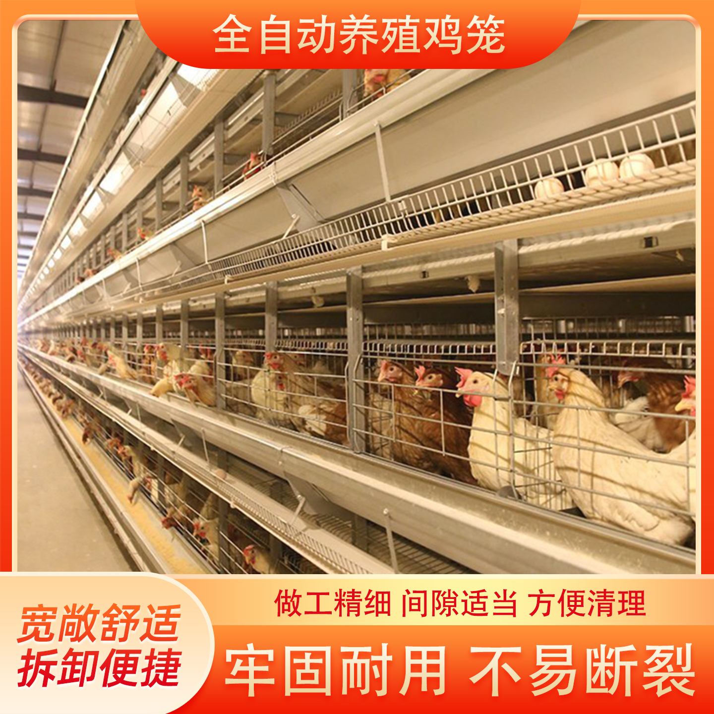 养殖育雏笼蛋鸡笼全自动立式肉鸡鸽子笼鹌鹑养殖场自动喂料肉鸡笼