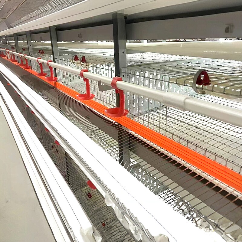 鹧鸪养殖笼立式全自动6层鹌鹑养养殖笼具/鸡笼/兔笼