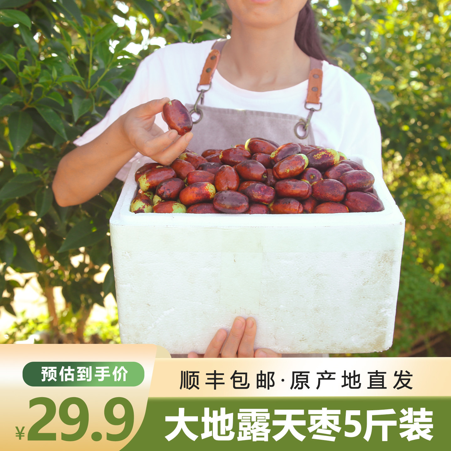 （顺丰包邮)灵武长枣新鲜脆甜皮薄汁多产地直发头茬鲜枣当季水果