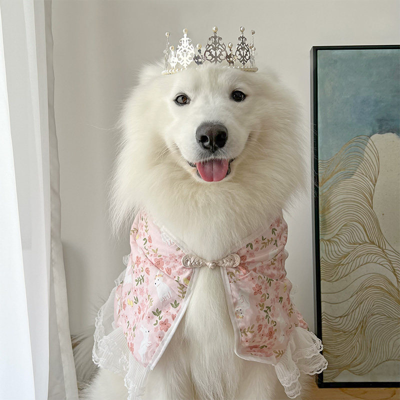 2023宠物新年衣服狗狗中大型犬领巾柯基金毛萨摩哈士奇边牧围脖