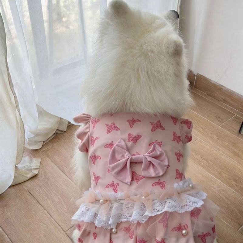 宠物狗狗可爱裙子新款衣服2026大中小型犬萨摩耶拉布拉多拍摄裙子